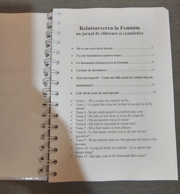 Reîntoarcerea la Feminin - jurnal de introspecție - imagine 2
