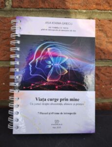 Viața curge prin mine - jurnal de introspecție